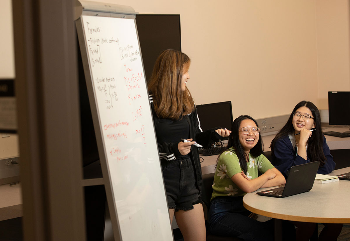 Students working in the library