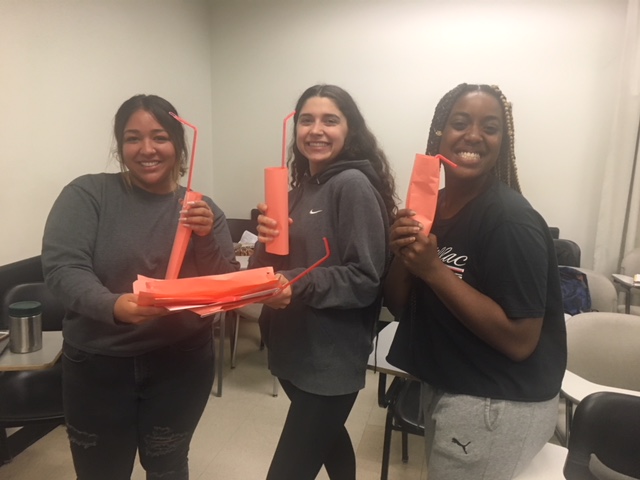 HCOM 333, Fall 2018 Building a Tower Activity